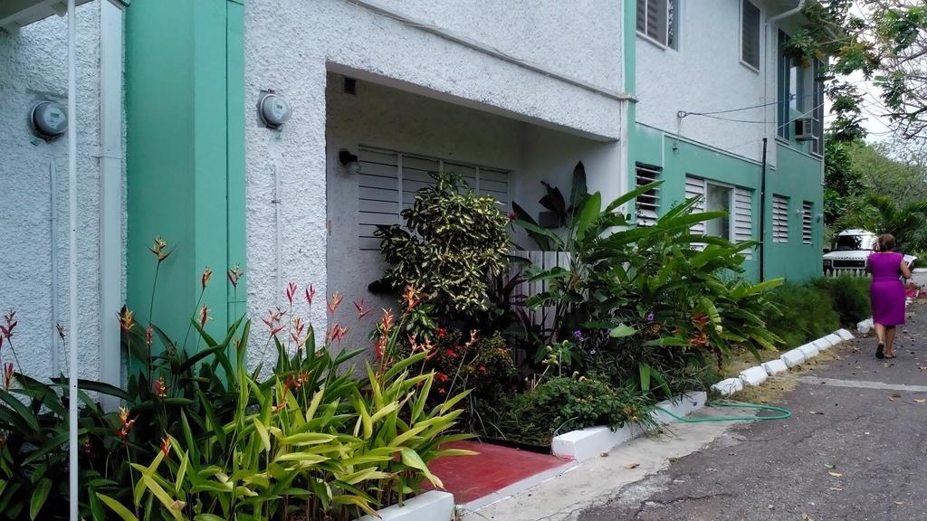 The Gardens Villa Kingston Luaran gambar