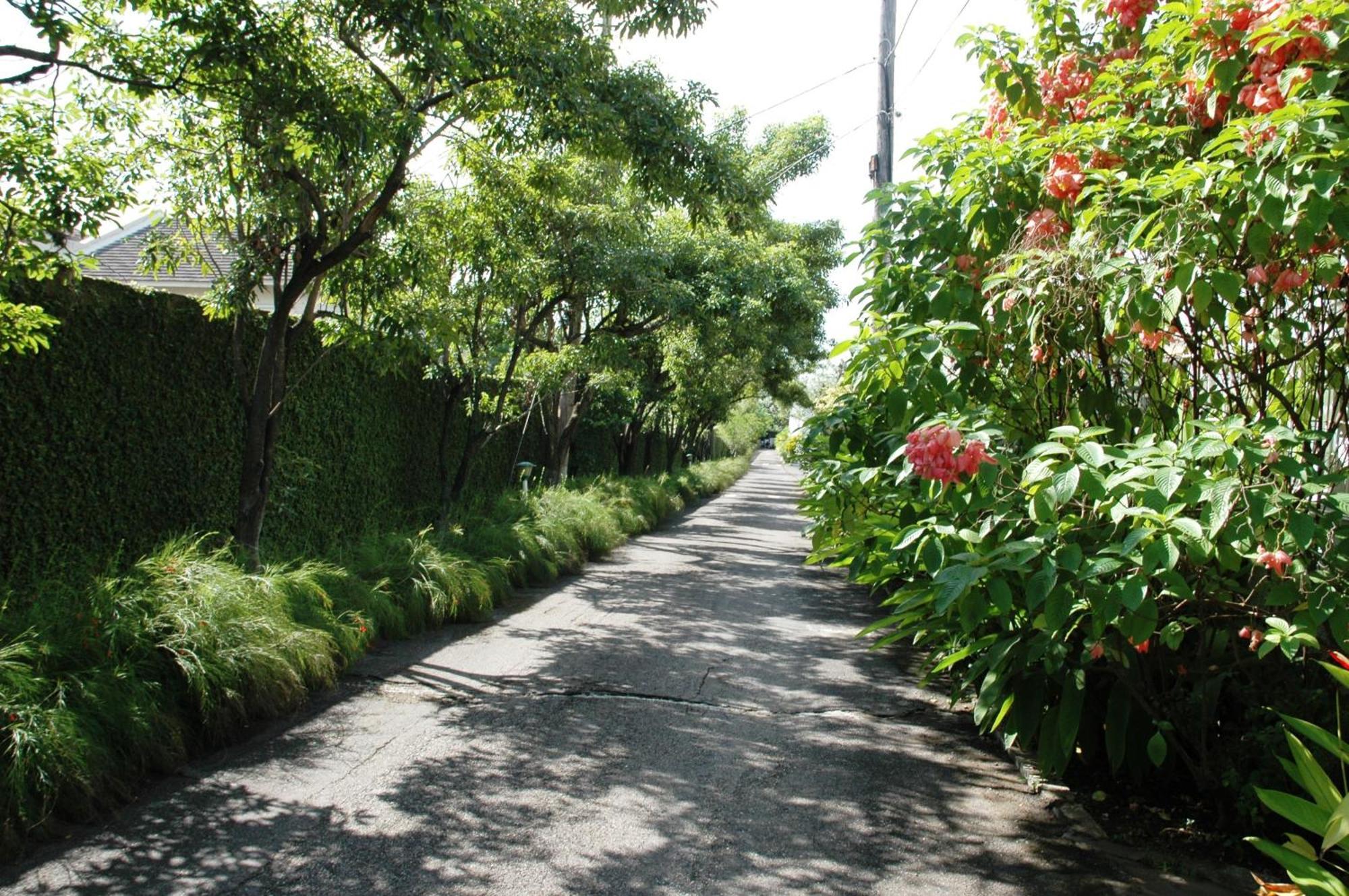 The Gardens Villa Kingston Luaran gambar