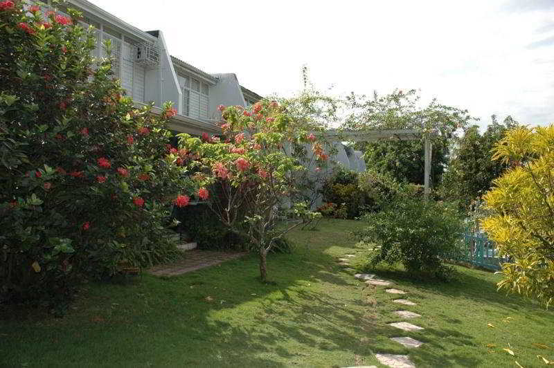 The Gardens Villa Kingston Luaran gambar